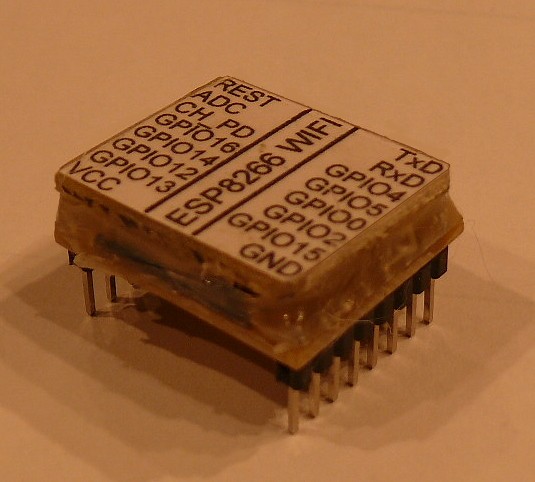 P1110022.JPG